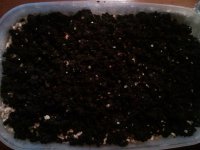 IMG_20121023_222436.jpg