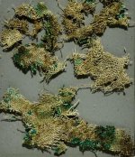 nettle-fabric-burial.jpg nettle-fabric-burial.jpg