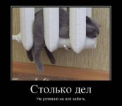 1332126259_021.jpg