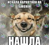 P0irkbTByIA.jpg