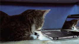 gifs_01.gif
