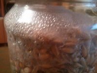 IMG_20121118_044543.jpg