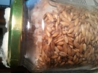 IMG_20121118_044711.jpg