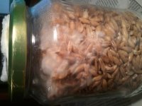 IMG_20121118_044721.jpg