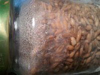 IMG_20121118_044729.jpg