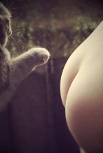 1352612039_ero-053.jpg