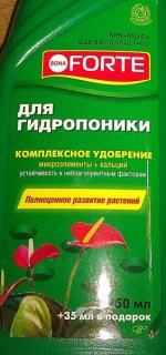 IMG_20121120_212514.jpg