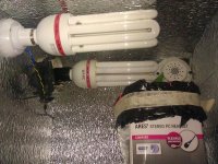 IMG_20121120_212653.jpg