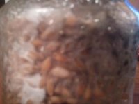 IMG_20121120_180220.jpg