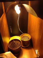 IMG_2161.JPG