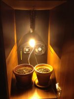 IMG_2262.JPG