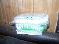 100_1468.JPG
