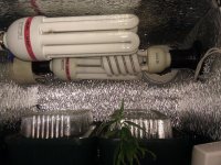 IMG_20121202_200548.jpg