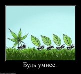 0_6616f_37c4afff_XL.jpg