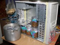 08.jpg
