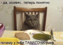 там.jpg