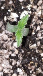 20180729_001717.jpg