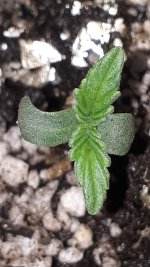 20180729_001751.jpg