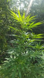 20180730_105920.jpg