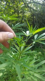20180730_105754.jpg