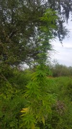 20180730_192200.jpg
