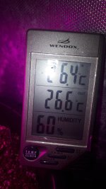 20180730_211011.jpg