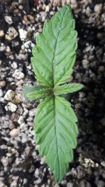20180801_000738.jpg