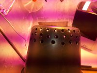 20180725_070533.jpg 20180725_070533.jpg