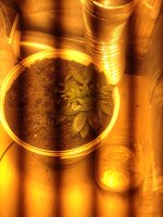IMG_0550.JPG