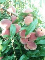 IMG_20180805_095616.jpg