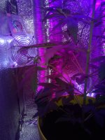 IMG_20180805_193559.jpg