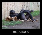 не танцую.jpg