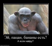 Эй, пацан, бананы есть.jpg