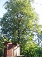 GG reolocation (40).JPG