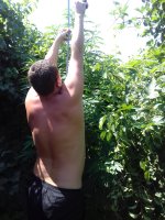 20180806_130228.jpg