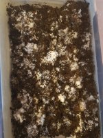 20180807_104638.jpg