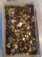 20180807_104632.jpg