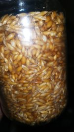 IMG_20180807_151828.jpg