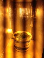 IMG_0567.JPG