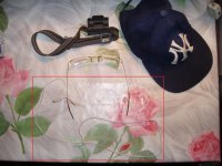 GG reolocation (20).JPG