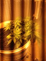 IMG_0589.JPG