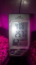 20180811_231033.jpg