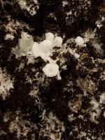 20180813_082605.jpg