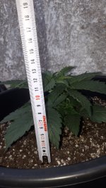 20180813_125211.jpg