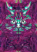 images (10).jpeg