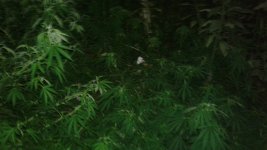 20180810_224112.jpg 20180810_224112.jpg