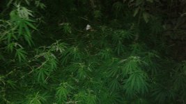 20180810_224117.jpg 20180810_224117.jpg