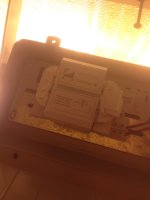 IMG_0627.JPG