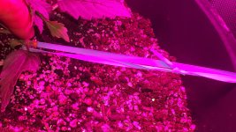 20180813_223146.jpg