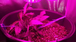 20180813_223219.jpg